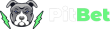Pitbet Casino is a modern non GamStop casino